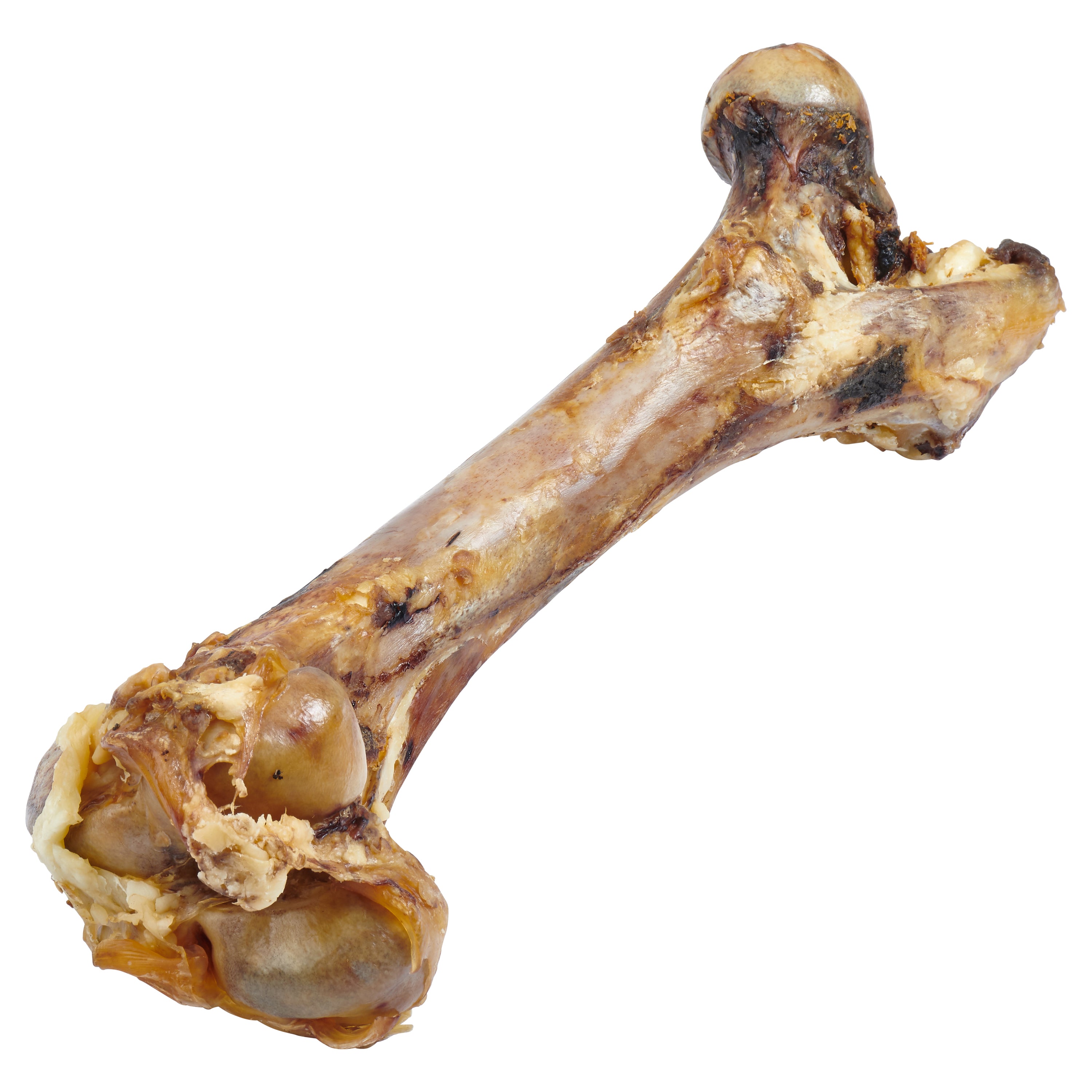 one EcoKind Giant Dog Bone - All-Natural Gras - Fed Beef Femur Big Bone for Dogs of Any Size