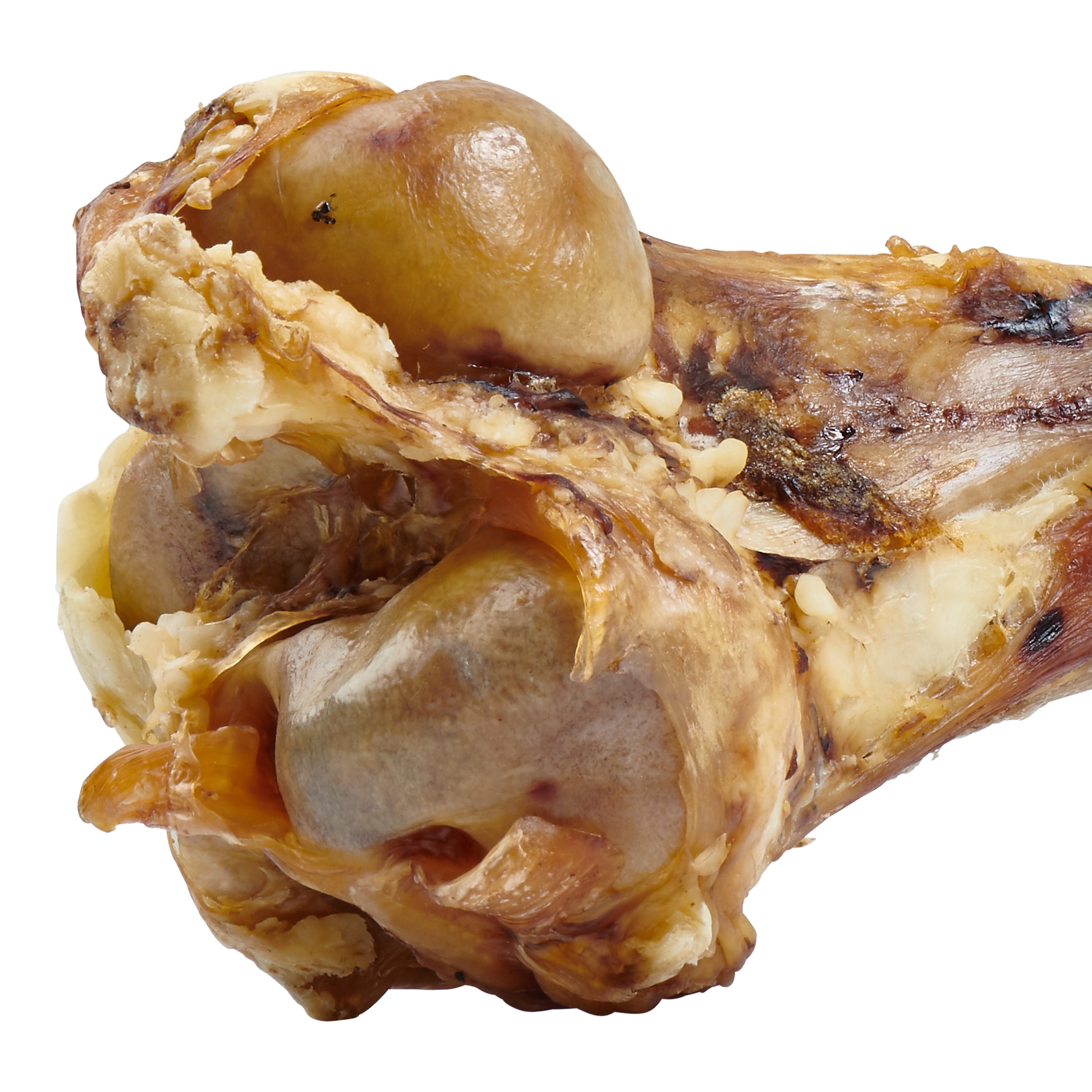 a close up of a meaty EcoKind Giant Dog Bone - Grass Fed Beef Femur Big Bone, Long Lasting for Dogs and Puppies