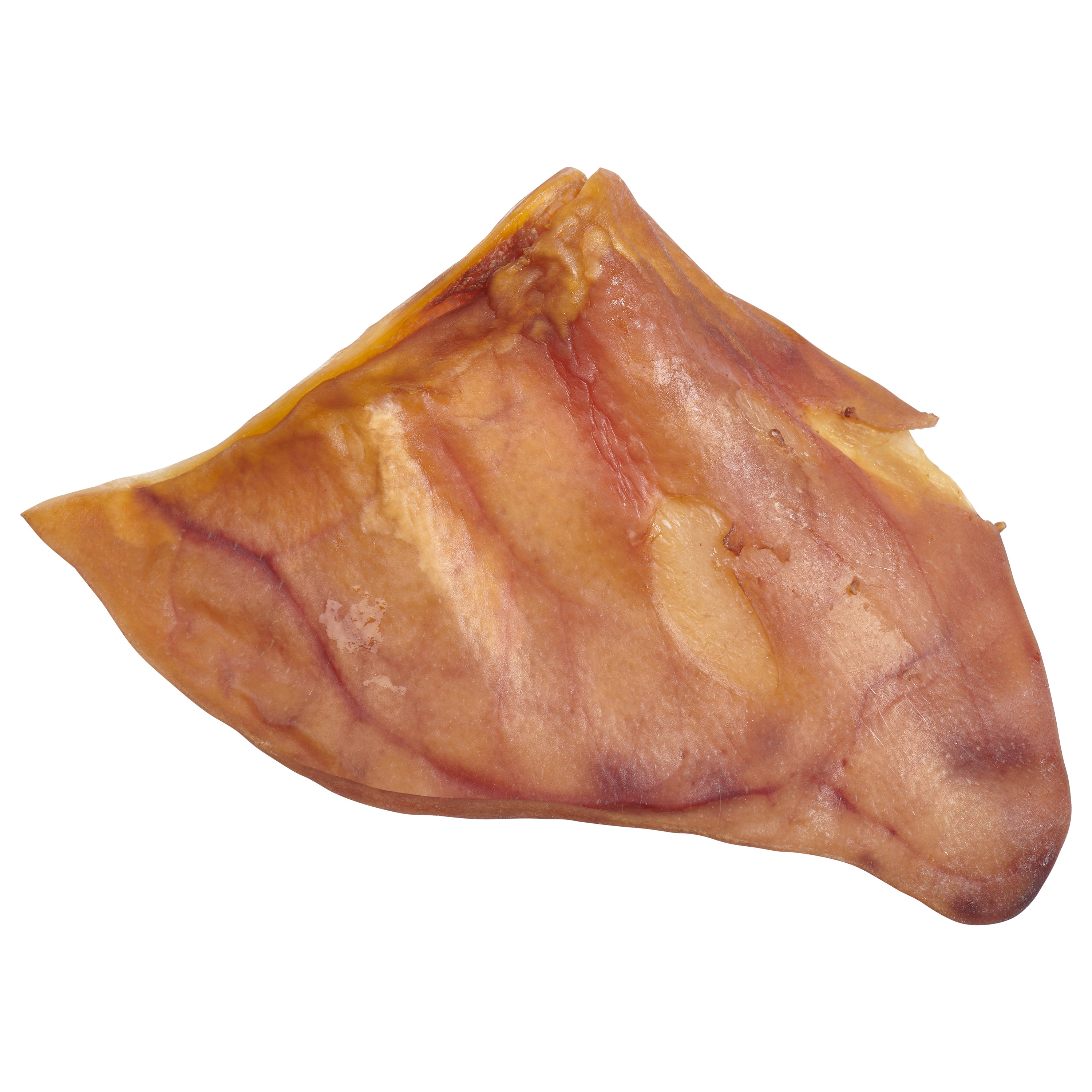 a single EcoKind All-Natural Pig Ear for Dogs, From antibiotic and hormone free pork, chews for dogs and puppies.