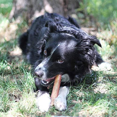 a bag of EcoKind all-natural, long-lasting bully sticks for dogs - made from grass-fed beef and hand-picked for the best quality