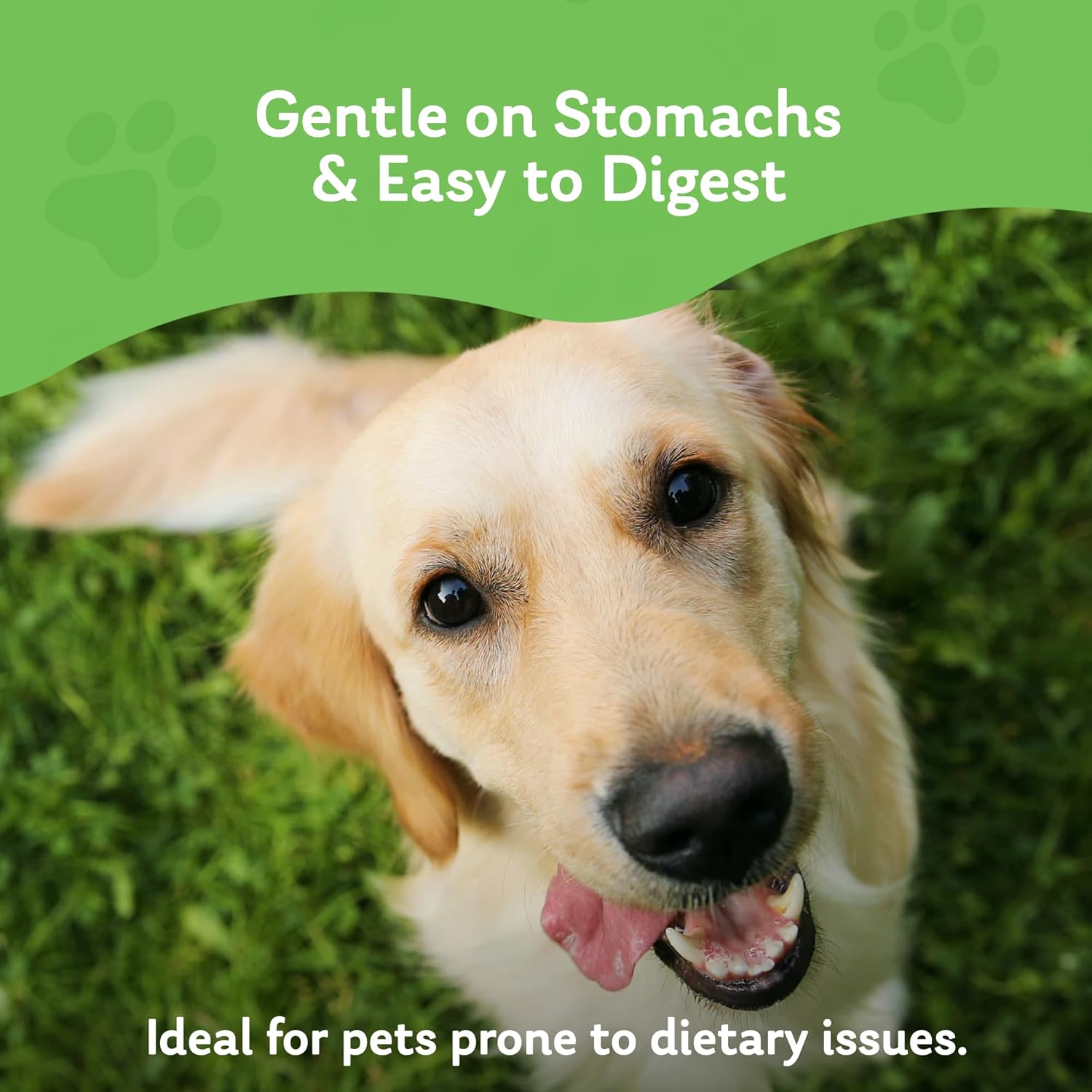 Freeze Dried Chicken Treats for Dogs and Cats