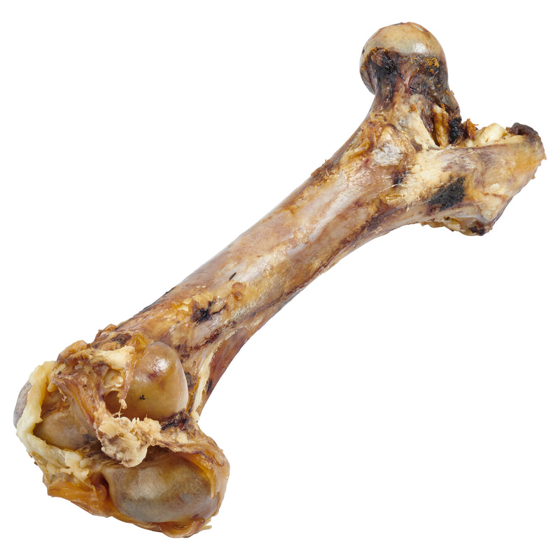 EcoKind Giant Dog Bone - All-Natural Gras - Fed Beef Femur Big Bone for Dogs of Any Size