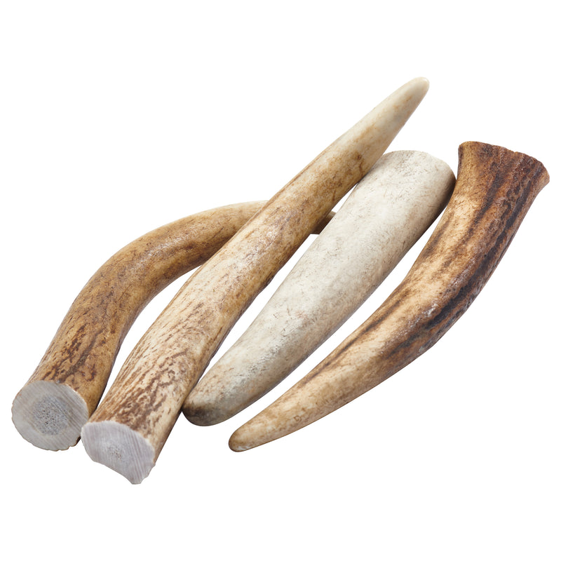 a bag of EcoKind Elk Antler Tips Dog Chews - all-natural, long-lasting, treats for your dog or puppy, from the Rocky Mountains in the USA